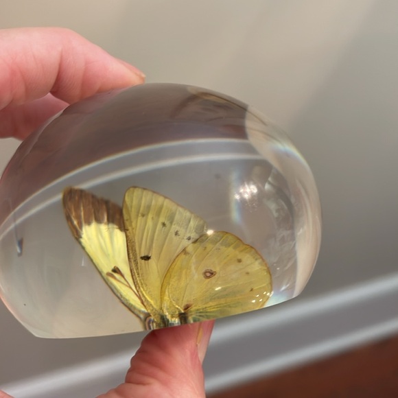 TARAX INFINITY PRODUCTS Yellow Butterfly  PAPERWEIGHT, HANDCRAFTED IN CANADA - Picture 8 of 17